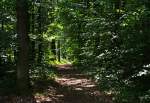 Waldweg im Gegenlicht bei der Hardtburg (Euskirchen-Kirchheim) - 01.06.2014