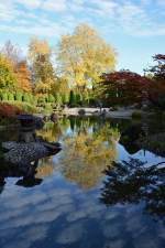 Japanischer Garten mit Teichspiegelung in der Rheinaue Bonn - 01.11.2014