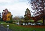 Winterruhe  mit Teich und Bäumen im Freizeitpark Rheinbach - 14.11.2014