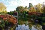 Japanischer Garten in der Bonner Rheinaue - 01.11.2014