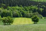 Grüne Landschaft an der Steinbachtalsperre - 13.05.2015