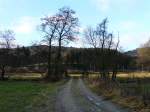 Licht und Schatten im Tal der Clerve zwischen Drauffelt und Mecher/Clervaux (Luxemburg) am Nachmittag des 02.01.08.