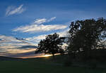 Abendstimmung mit Baumgruppe bei Bad-Münstereifel - 11.11.2022