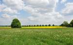 Natur im Frhling - Blumenwiese, Baum, Raps, Allee und Wolken, Voreifel 16.05.2010