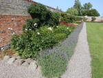 Im Schloßpark von Schloss Korselitse, Lolland (18.07.2021)