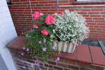 Hamburg am 12.9.2025: Blumenschmuck auf einer Steinmauer am Zugang eines kleinen Geschäftes /