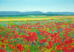  Mohn.Felder.Berge , Öl auf Baumwolle, 2010, 70 x 100 cm; Mohnfeld im Harzvorland...