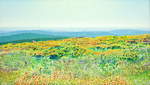  Brockenfrühlingsheidenweite , Öl auf Baumwolle, 2008, 80 x 140 cm; Blick vom Brocken am Nachmittag Anfang Juni Richtung Südwesten bis zum Hohen Meißner (links am Horizont) und den