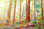  Achtermannurwaldsonne II , Gemälde: Öl auf Baumwolle, 2012, 80 x 120 cm; Septembersonne im Urwald der Achtermannshöhe...