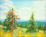  Brockenheidenleben , Gemälde: Öl auf Baumwolle + Holz (-Rahmen), 2007, 105 x 130 cm; Blick über die Heidelandschaft und den Urwald des Brocken im Juli Richung Südwesten bis zum