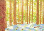  Schneewald , Gemälde: Öl auf Holz, 2010, 70 x 100 cm