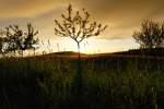 Abendliche Impression bei Bischwind a.R. nach einem Regenschauer, aufgenommen am 15.05.2012