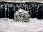  Fußball oder Wasserball ; gefangen in einer Staustufe der Breitsach; 140510