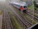 Spinnennetz mit anhaftenden Tautropfen im Fachwerk des Rieder Bahnsteges; 141012