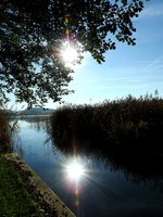 Sonnenstrahlen spiegeln sich am Ufer des Mattsees, im Salzburger Flachgau; 161031