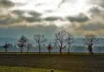 Nebel - Dunst Zwielicht bei Euskirchen - 30.12.2015