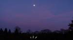 Abendstimmung über dem Grugapark Essen (NRW, Februar 2019) mit Fast Vollmond