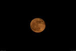 Roter Vollmond, gesehen mit dem Tele-Objektiv in Neu-Sch�nbeck.
