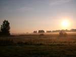 Die aufgehende Sonne durchdringt den Morgennebel der aus den feuchten Elbwiesen in Niegripp aufsteigt . ( 13.August 2007 05:42 Uhr )