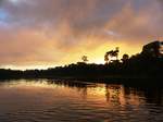 Morgendämmerung am Taponahony River bei Palumeu in Suriname, 28.5.2017