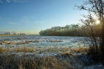 Eine winterliche Wiese in der Nähe des Müssentiner Waldes.