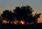 Sonnenuntergang mit  Schattenrißbäumen  - Voreifel 05.08.2007