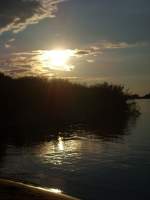 Abendsonne ber der Elbe bei Klein Khren.  22.07.2007