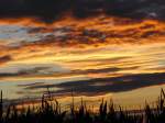 Sonnenuntergang ber einem Maisfeld bei Bischwind a.R.