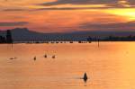 Sonnenuntergang am Untersee bei Ermatingen TG. Im Hintergrund der Hegau (02.06.2012)