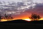 Sonnenuntergang am  Weinberg  bei Bischwind a.R.,aufgenommen am 13.05.2012