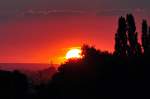 Gleich ist sie weg! Sonne verschwindet am Horizont über der Voreifel - 10.08.2012