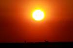 Sonnenuntergang bei Rieps (NWM); 05.05.2013