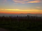 Blick vom Lenzenberg/Kaiserstuhl ber die neblige Rheinebene zu den Vogesen beim Sonnenuntergang, Dez.2013