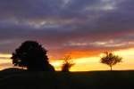 Abendhimmel am  Weinberg  bei Bischwind a.R.,fotografiert am 23.10.2014