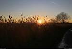 Blauer Himmel und Sonnenuntergang in der Saaleaue bei Angersdorf (Gemeinde Teutschenthal).