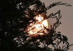 Sonne verschwindet langsam am Horizont über der Eifel - 22.05.2023