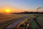 Herbstmorgen über den Dächern von Halle-Neustadt, genossen vom Granauer Berg am Rande der Dölauer Heide.

🕓 15.10.2024 | 7:50 Uhr