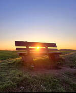 Durchblick: Lichtdurchflutete Bank auf dem Granauer Berg in Halle (Saale).

🕓 16.3.2025 | 18:01 Uhr