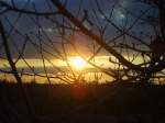 Irgendwann hatte ich mal ein Footo eines Sonnenunterganges änlich wie dieses gesehen und endlich gelang es mir, ein Bild, mit gleichem Hintergrund zu machen.