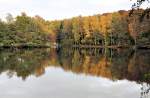 Herbstwaldspiegelung im See an der Steinbachtalsperre - 27.10.2009