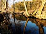 Spiegelungen der naturbelassenen Landschaft (vor dem Bau des RHB-Rettenbrunn) im Schwarzenbach; 140215