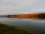 Abendstimmung an der Donau, im Hintergrund die Siloanlagen von Aschach/D; 211119