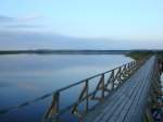 Federsee/Oberschwaben,  durch den 1,5km langen Holzsteg kommt man direkt an den See,  der sonst durch einen breiten Schilfgrtel umgeben ist,  eines der grten Vogelschutzgebiete in Deutschland, 