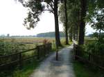 Federseeradweg/Oberschwaben,  sie umfahren auf ebener Strecke in ca.2 Stunden ganz bequem,  das grte Moorgebiet in Sdwestdeutschland,  Aug.2008 