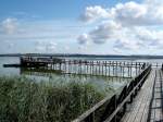 der Federsee in Oberschwaben, durch einen 1,5Km langen Steg kommt man durch das Schilf ans Wasser, Sept.2004