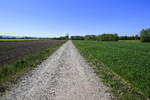 Landschaft in der Rheinebene im Ortenaukreis, April 2020