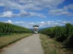 Freiburg-Opfingen Ausichtsturm im Weingebiet Tuniberg  Juli 2008