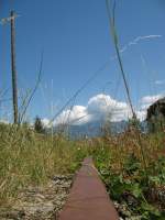 Der letzte Zug ist schon lange abgefahren und die Natur kehrt zurck.
(St. Gingolph/franzsicher Teil, im Juli 2008)