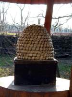 Im Eilenburger Tierpark kann man Bienen hautnah erleben, 24.02.08