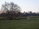 Whrend eines Winterspaziergangs hielt ich diese idyllische Landschaft in der Nhe von Mersch (Luxemburg) mit der Kamera fest.